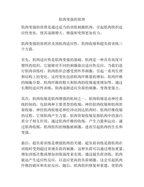 肌肉变强的原理