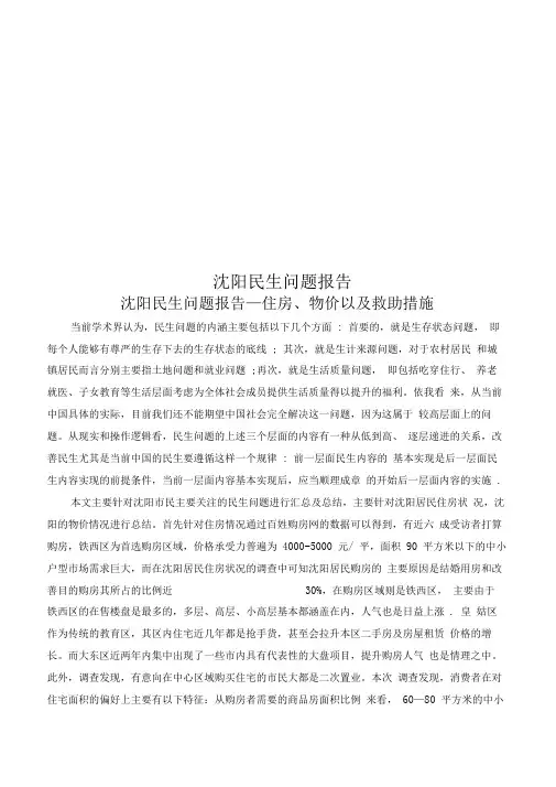 沈阳民生问题报告