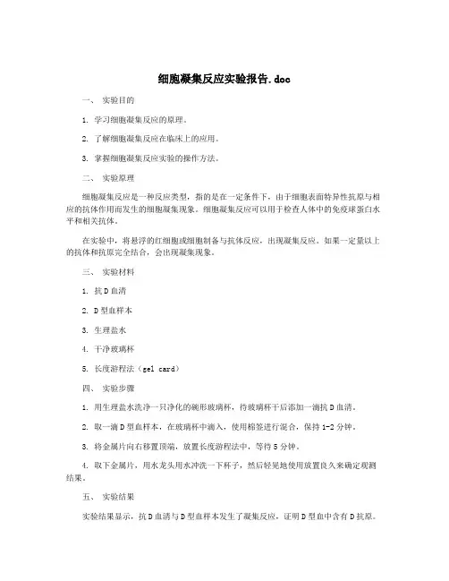 细胞凝集反应实验报告.doc