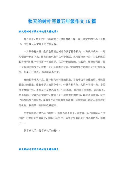 秋天的树叶写景五年级作文15篇