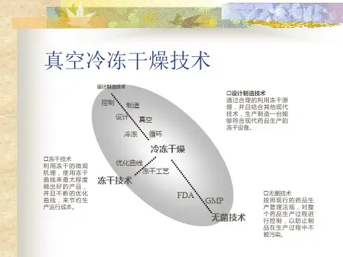 B真空冷冻干燥技术PPT课件