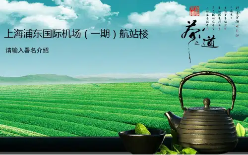 浦东国际机场案例分析