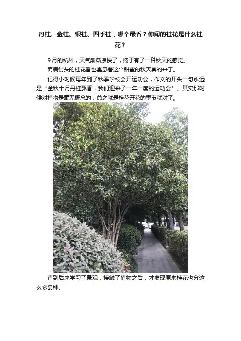 丹桂、金桂、银桂、四季桂，哪个最香？你闻的桂花是什么桂花？