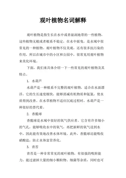 观叶植物名词解释