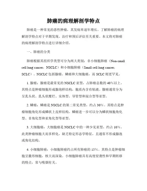 肺癌的病理解剖学特点