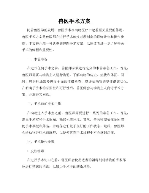 兽医手术方案