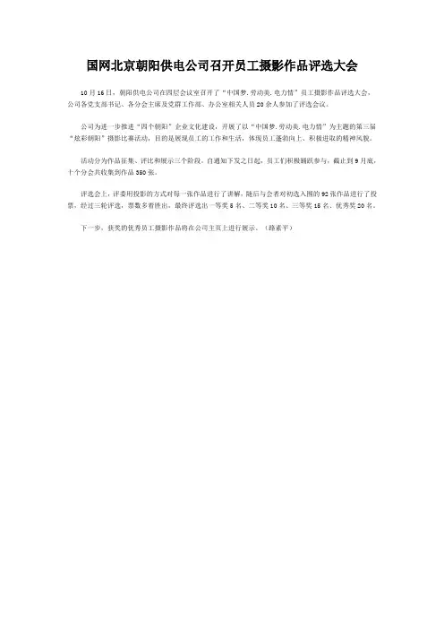 国网北京朝阳供电公司召开员工摄影作品评选大会