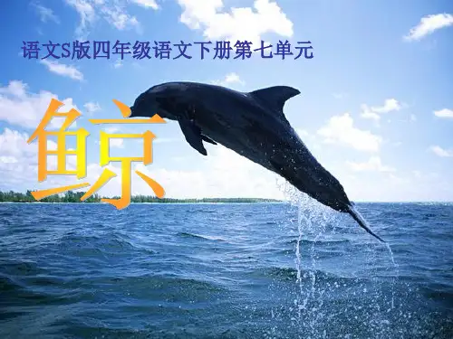 四年级下册语文课件-课文26《鲸》语文S版 共21张PPT