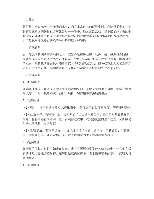 暑假社会实践报告养蚕