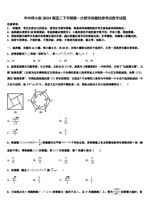 华中师大新2024届高三下学期第一次教学质量检查考试数学试题