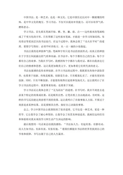 中国书法感悟
