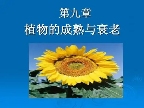 12植物生理学课件讲义_第九章