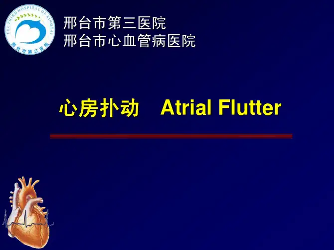 (仅供参考)心房扑动