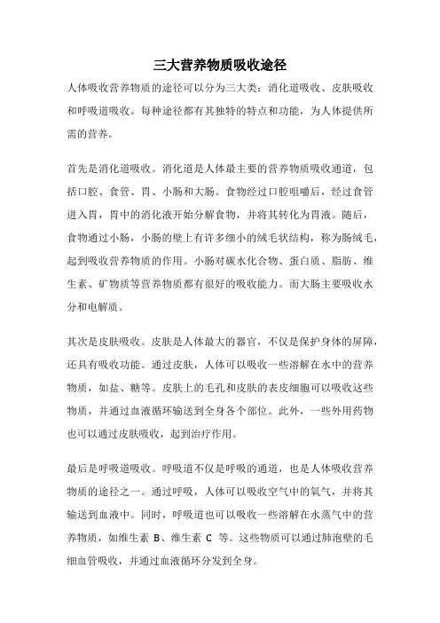 三大营养物质吸收途径