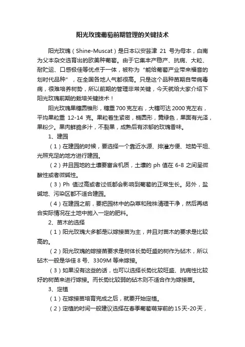 阳光玫瑰葡萄前期管理的关键技术