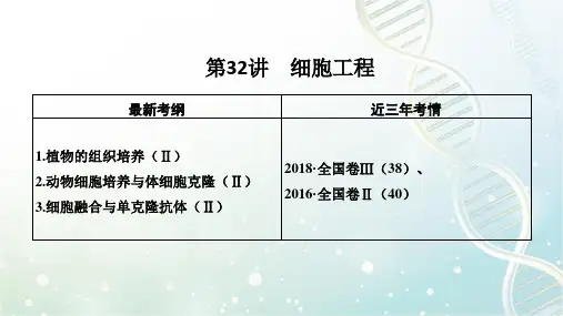 高三生物一轮复习优质课件：细胞工程