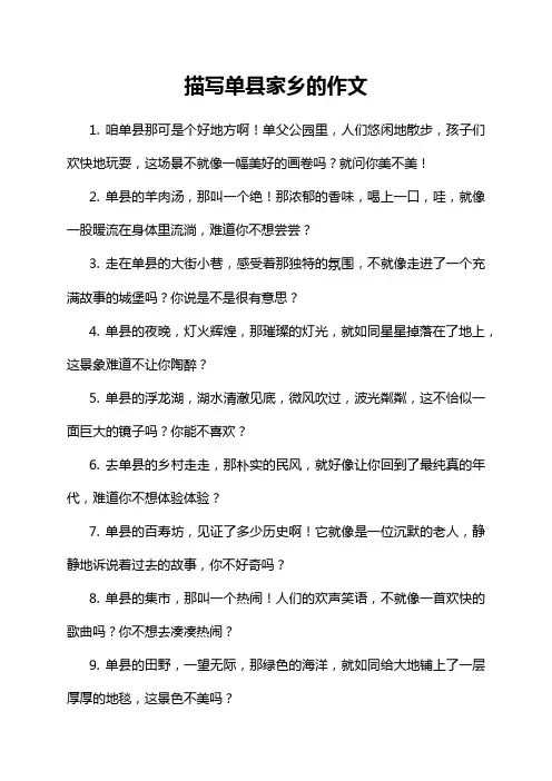 描写单县家乡的作文