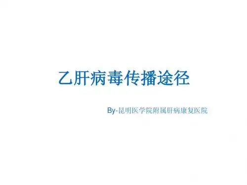 乙肝病毒传播途径