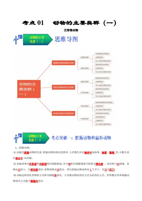 考点01 动物的主要类群(一、无脊椎动物)-2024-2025学年八年级生物上册同步核心考点归纳与分