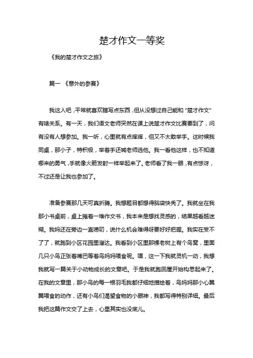 楚才作文一等奖