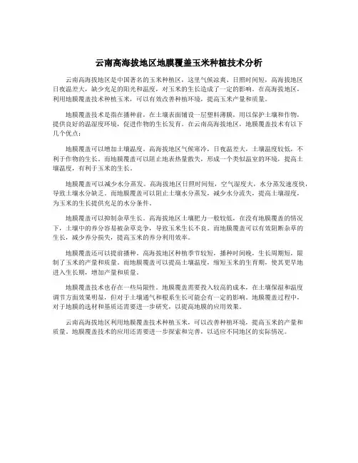 云南高海拔地区地膜覆盖玉米种植技术分析