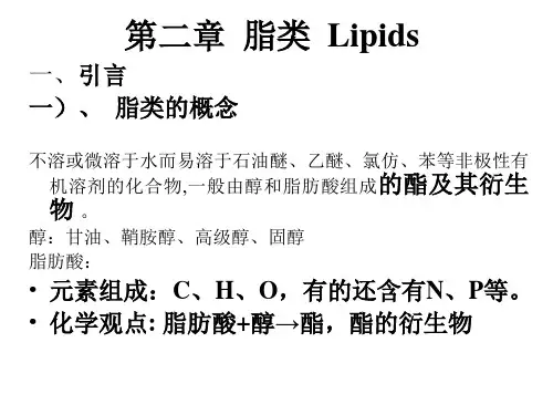 脂类