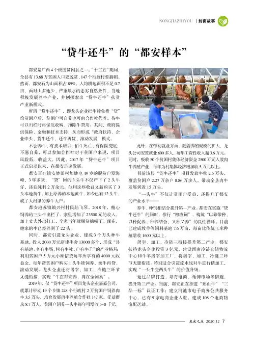 “贷牛还牛”的“都安样本”
