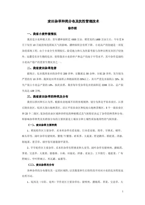 麦田杂草种类分布及抗性管理技术