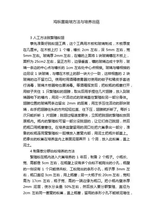 鸡枞菌栽培方法与培养出菇