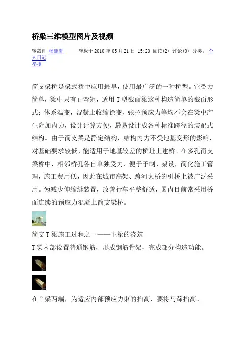T梁图解