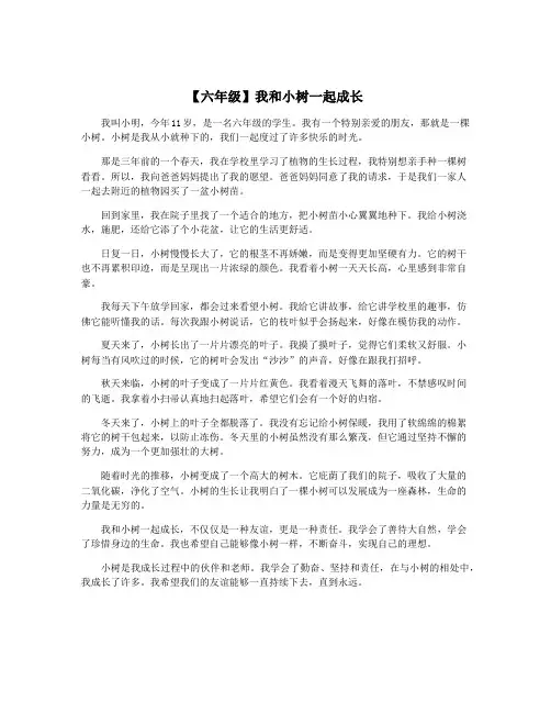 【六年级】我和小树一起成长