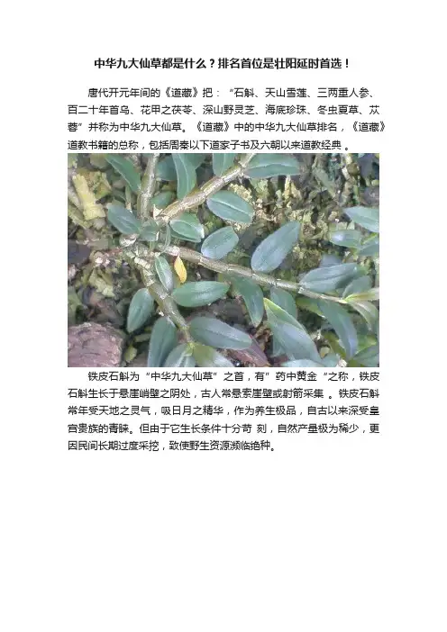 中华九大仙草都是什么？排名首位是壮阳延时首选！