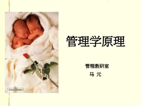 管理学基础幻灯