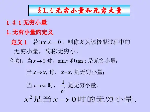 高数无穷大无穷小
