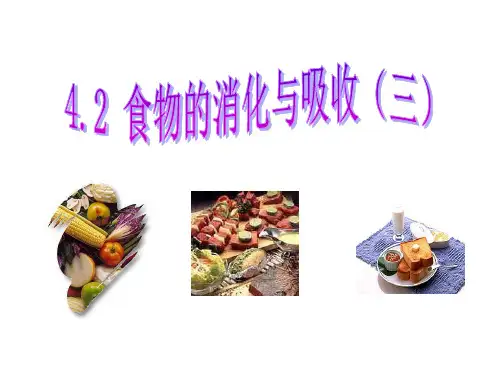 食物的消化和吸收(第4课时)—浙教版九年级科学上册课件(21张PPT )