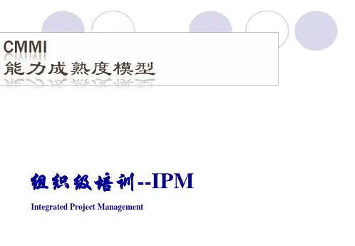 IPM 集成项目管理