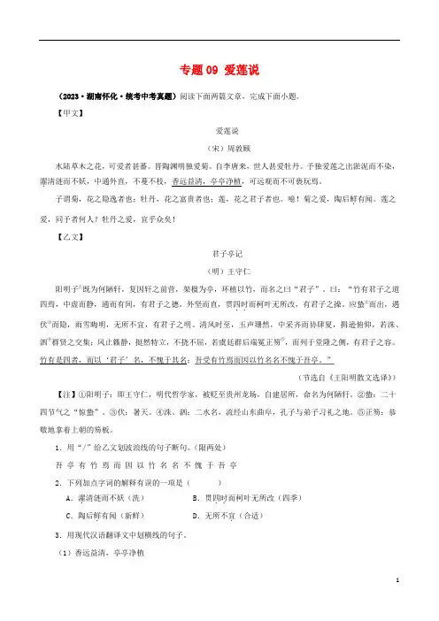 专题09 爱莲说(解析版)-备战2024年中考语文之文言文对比阅读(全国通用)