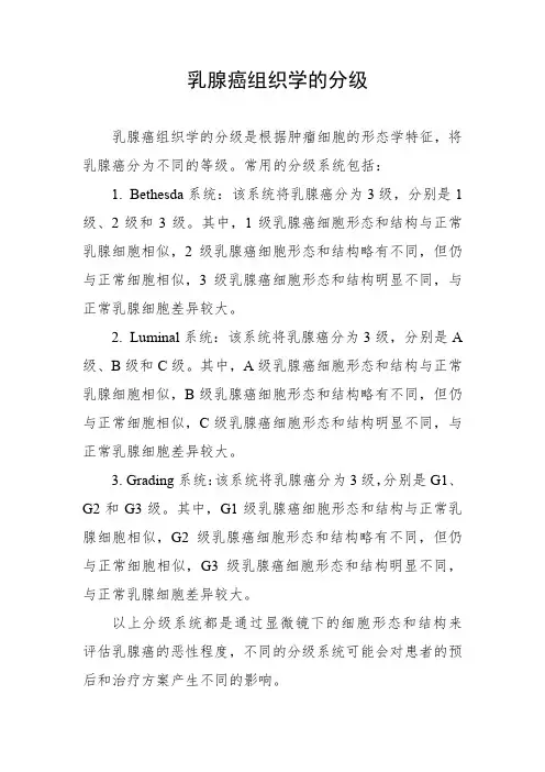 乳腺癌组织学的分级