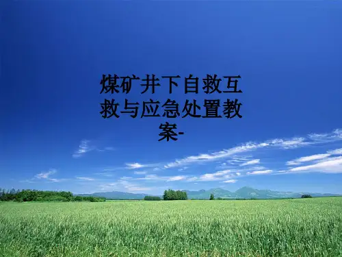 煤矿井下自救互救与应急处置教案-ppt课件