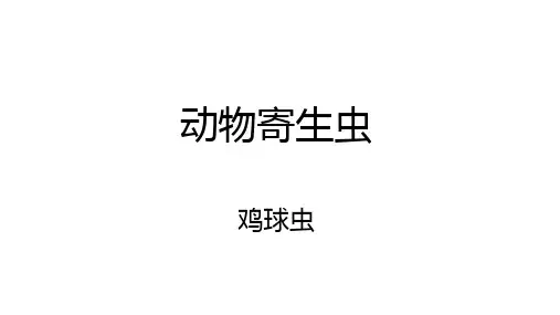 鸡球虫课件(共32张PPT)《动物疫病防治》