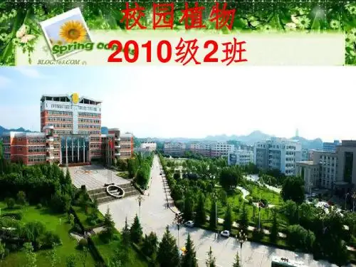 植物名录最终版