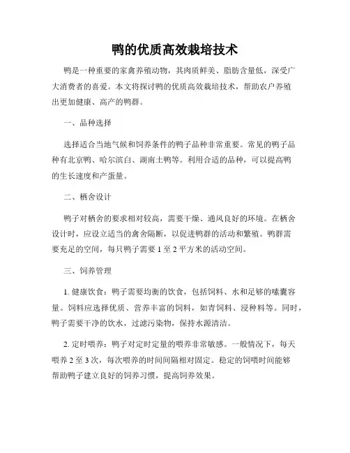 鸭的优质高效栽培技术