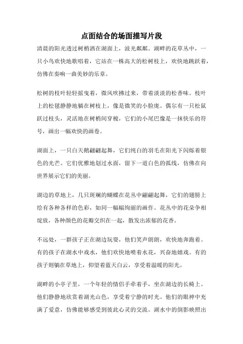 点面结合的场面描写片段