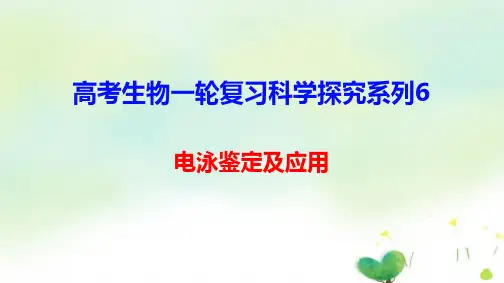 高考生物一轮复习科学探究系列6 电泳鉴定及应用