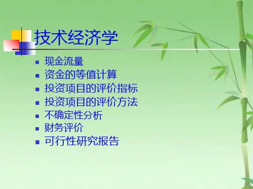 技术经济学—现金流量(共50张PPT)