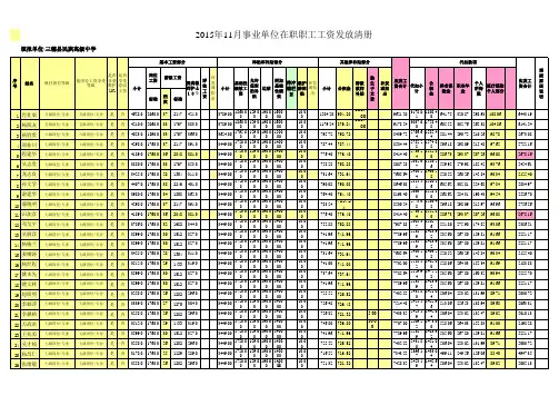 2015年11月行政事业单位工资册样表