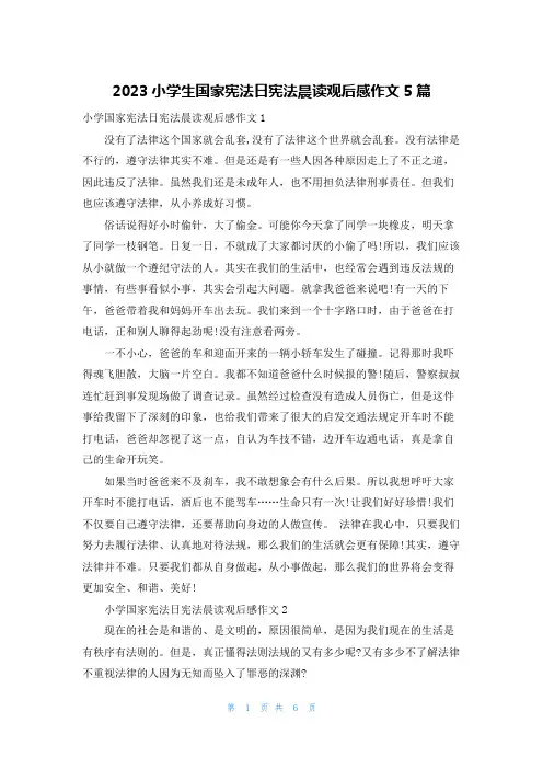 2023小学生国家宪法日宪法晨读观后感作文5篇
