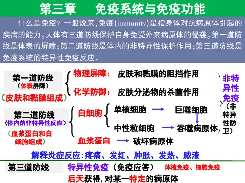 高中生物精品课件：免疫系统与免疫功能1