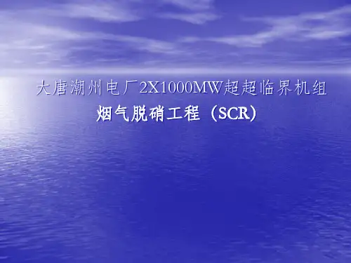 大唐潮州2X1000MW电厂脱硝培训讲义
