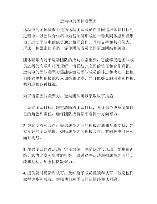 运动中的团体凝聚力